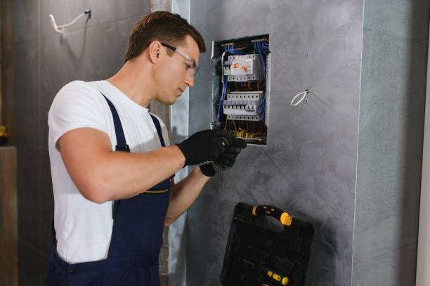 Best Outdoor Lighting Installation  in Owatonna, MN